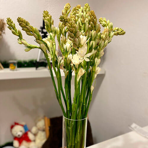 Nardos: Centros de mesa de bodas y arreglos florales con Varas de San Juan