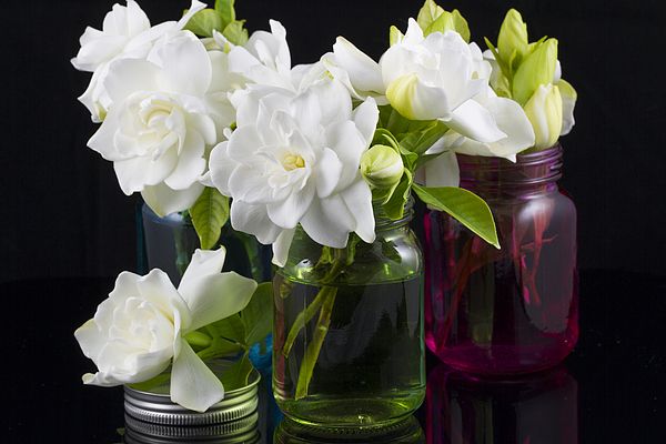 Centros de mesa y arreglos florales con gardenias