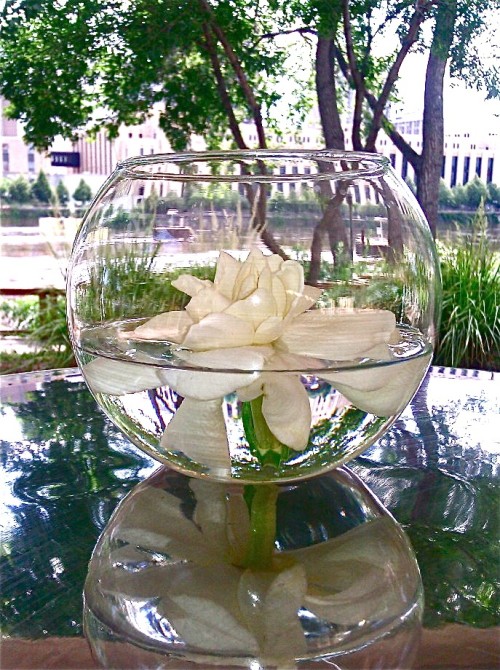 Centros de mesa y arreglos florales con gardenias